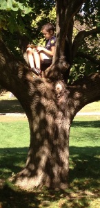 Carl in a tree